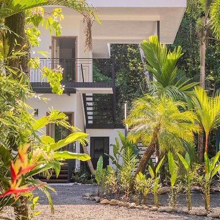 Ojochal Gardens Aparthotel Ngoại thất bức ảnh